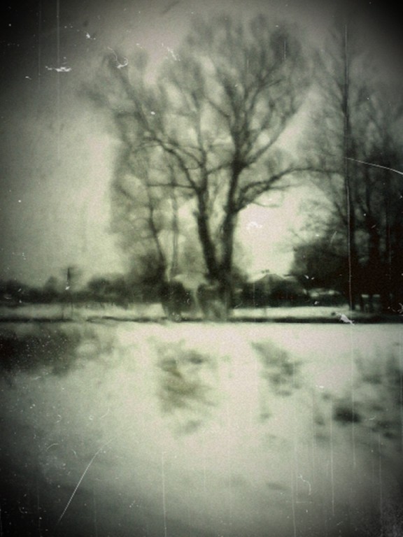 grey departure