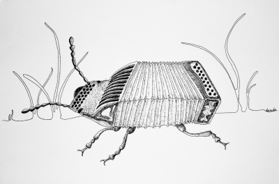 Akordeonicus Magnus