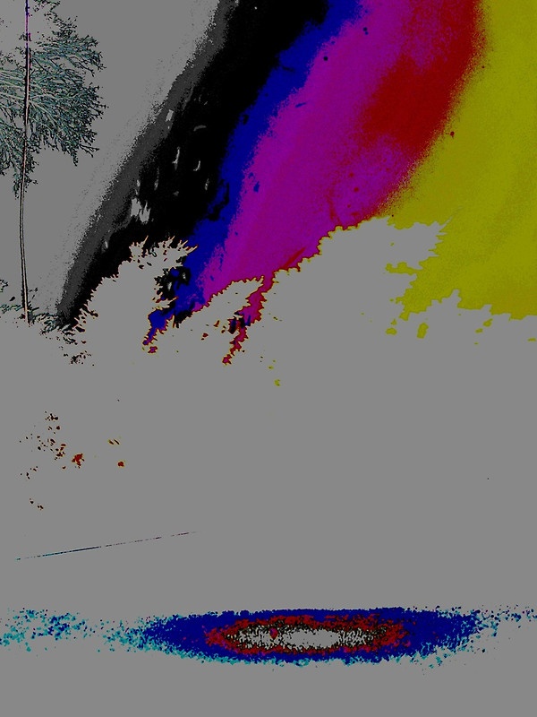 the forest for the tree