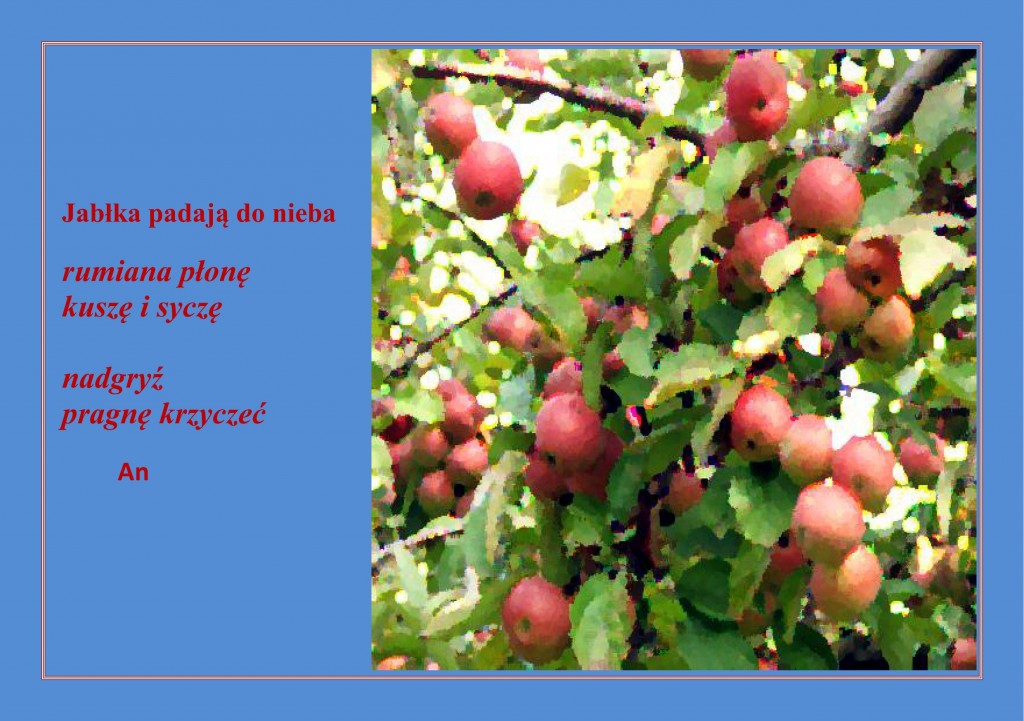 Autor-An zdjęcie-Leszek56 Jabłka padają do nieba