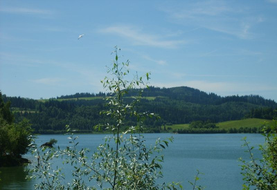 cisza