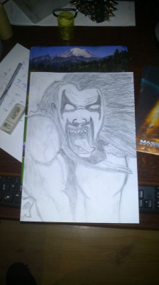 Lobo portret 2
