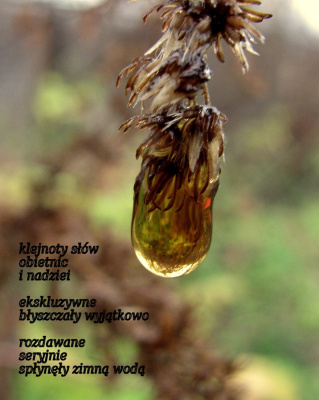 dostało się