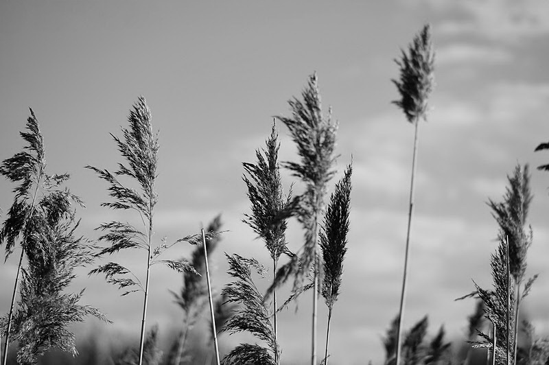 Ważnych jest kilka tych chwil