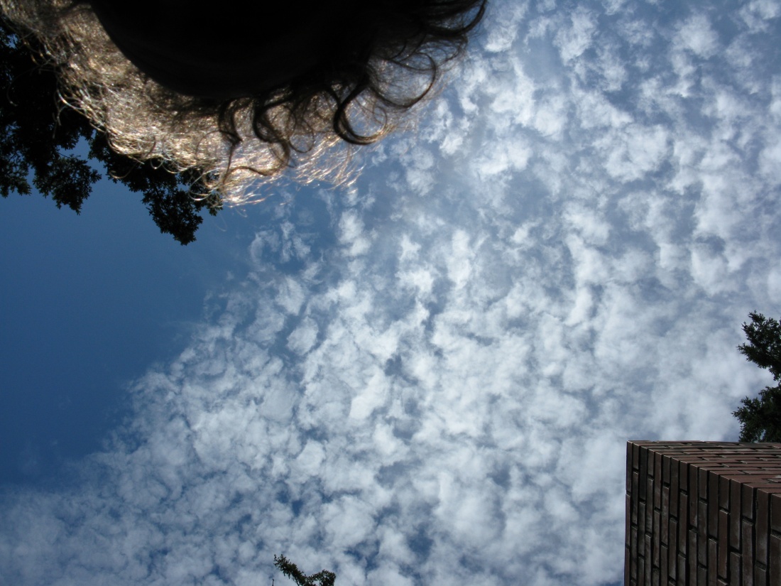 the sky above my head