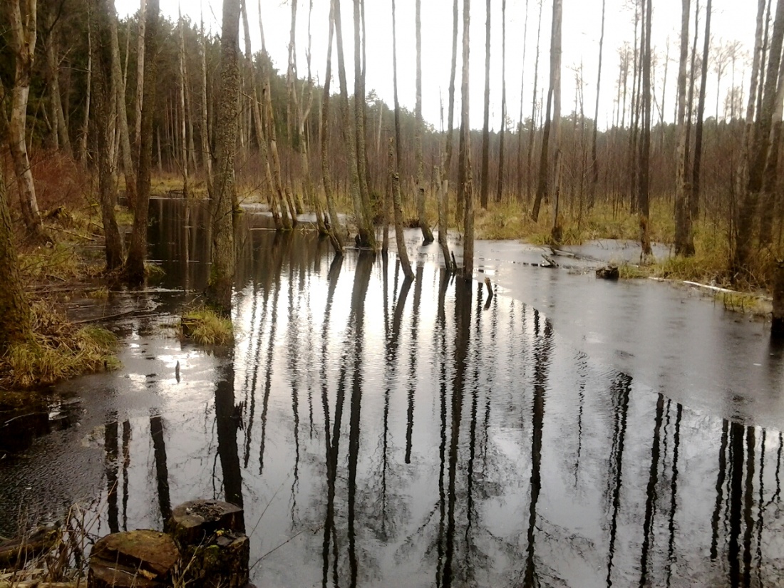 Istnieje cel, ale nie ma drogi - to co nazywamy drogą, jest wahaniem [Franz Kafka]