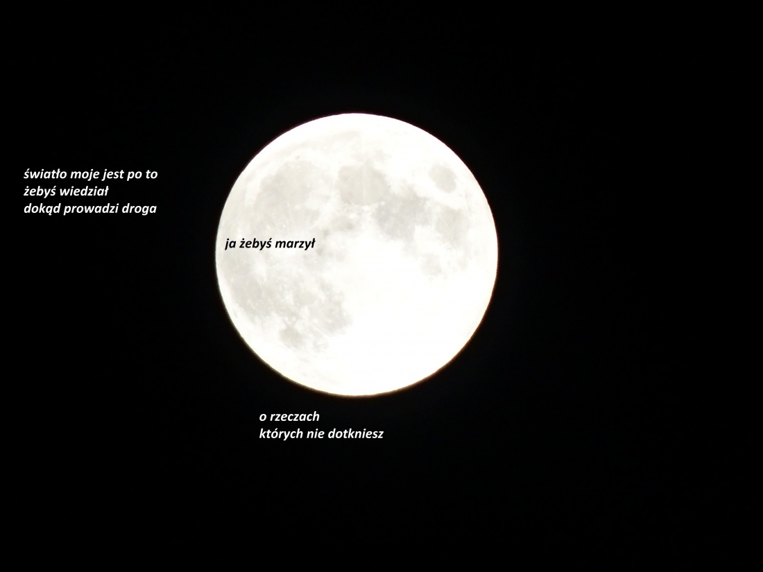 wrócisz nocą zapachem ułożony