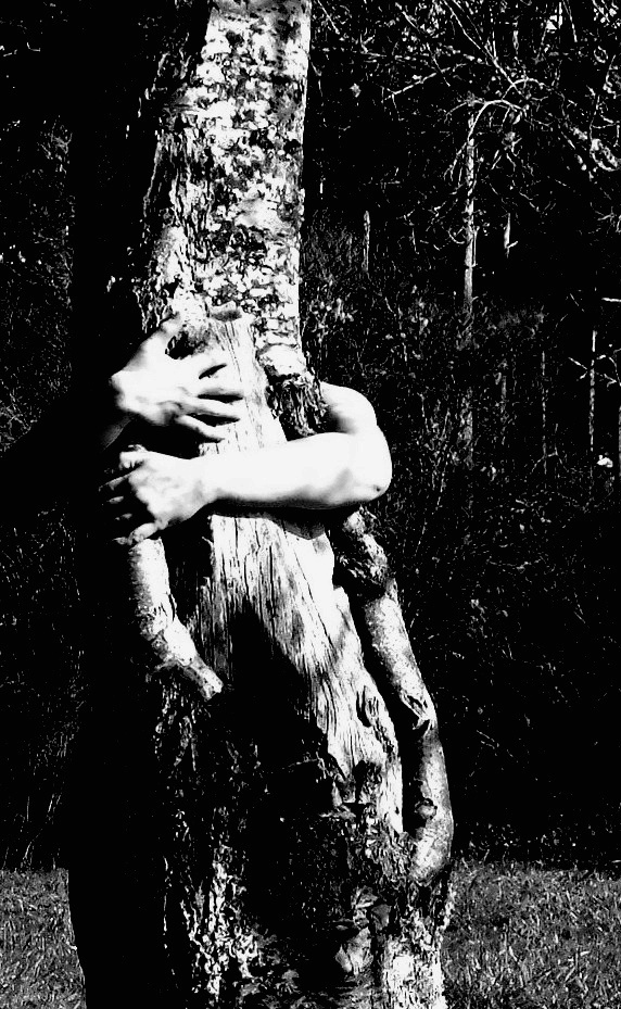 Tree Hugger