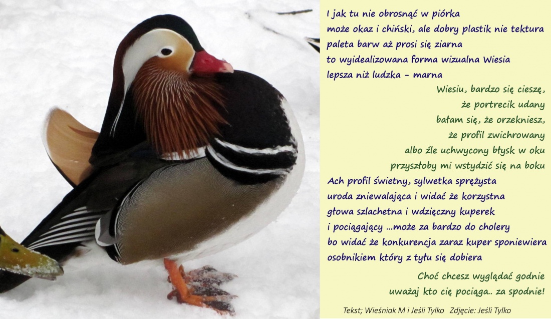 bez ramki (a co mi tam :))