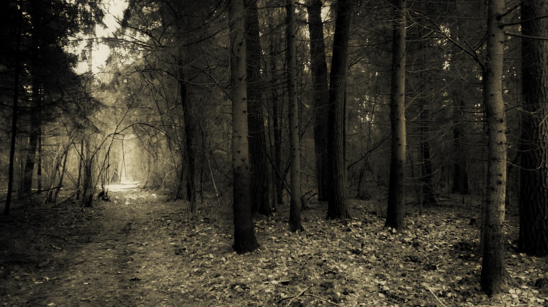 Czuć wiosnę w powietrzu