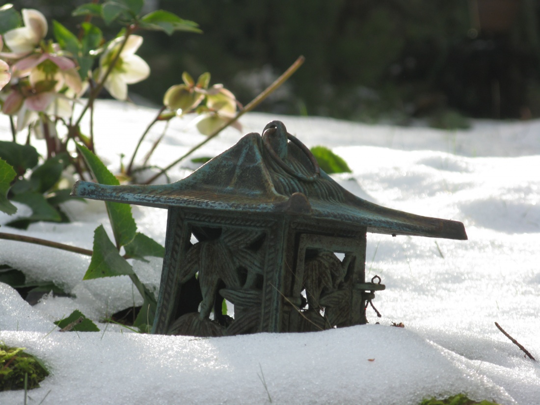 snow and flowers
