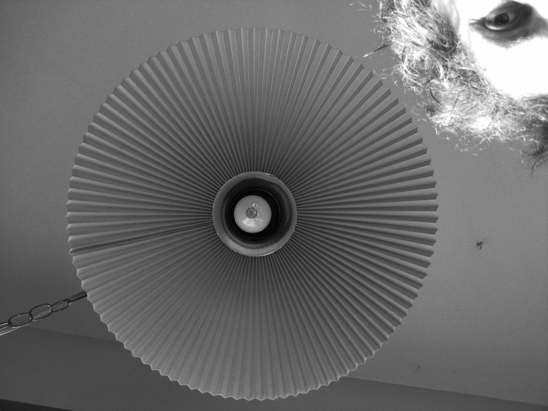 The Light