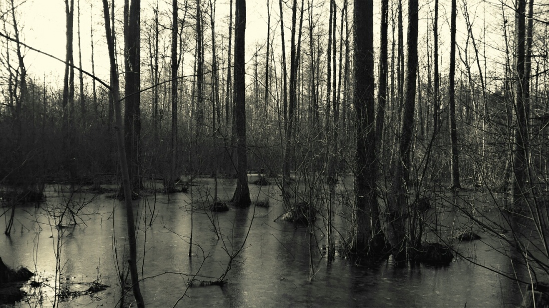 Gdy droga się kończy i zbliża się zmierzch należy albo zawrócić, albo spróbować obejść... więc obeszłam Po co się cofać?