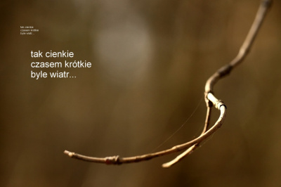 życie