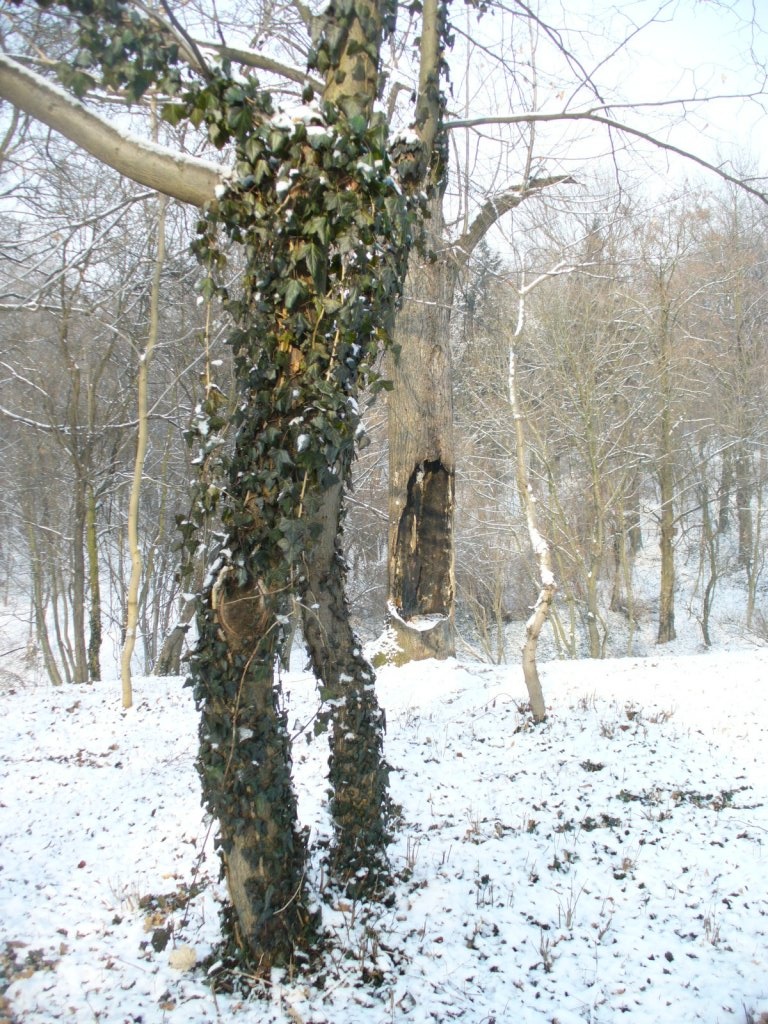 choć muzyka taka sama, my tańczymy wlasnym rytmem