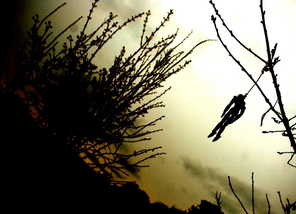 Krotochwila świąteczna