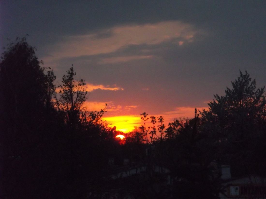 Zachód słońca (5)