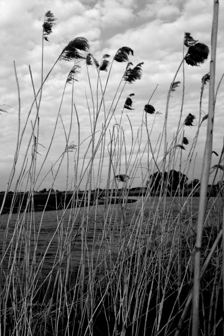 świata za mną nie widać