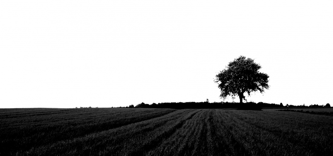 Samotność nie w sieci, a poza zasięgiem