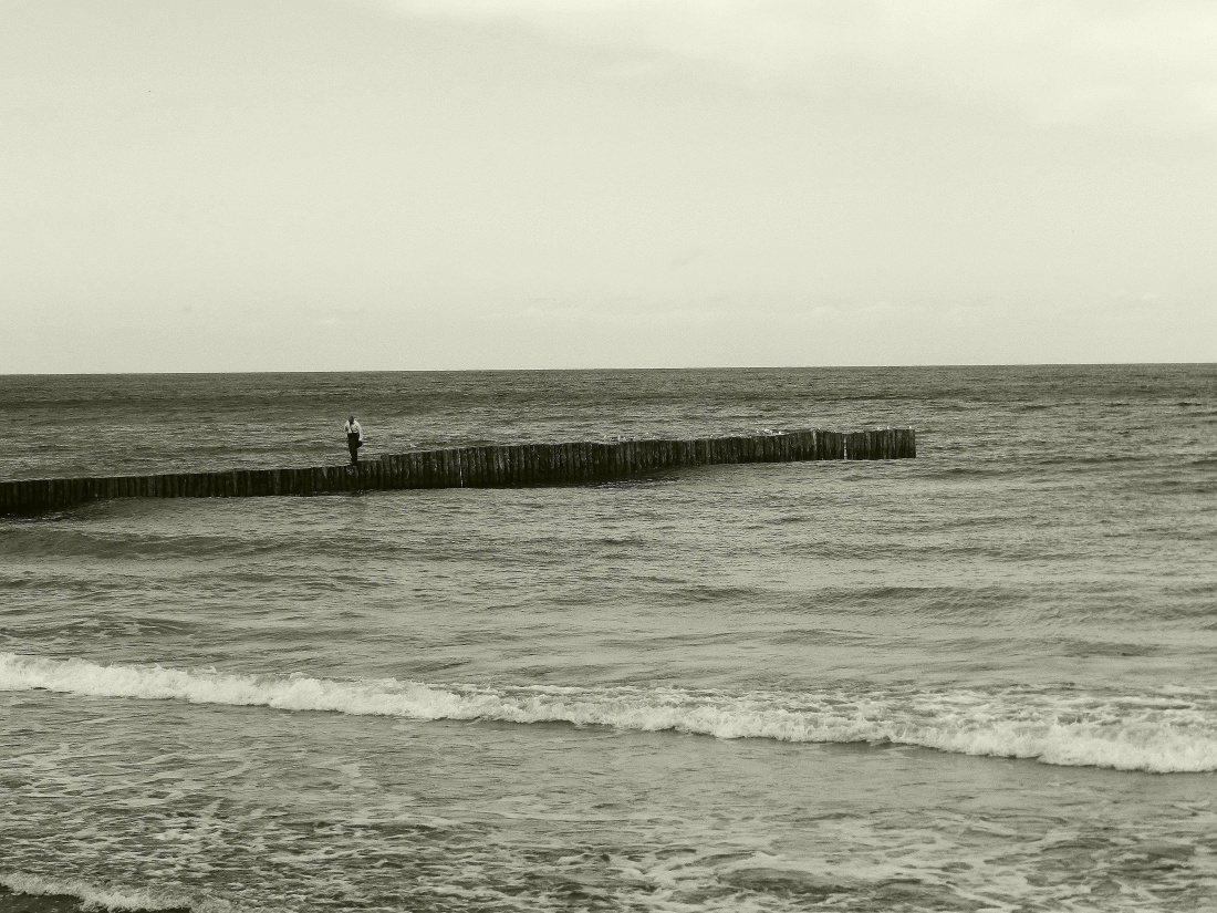 nie zakładaj marzeniom smyczy - niech pomkną za horyzont po nutkę szaleństwa