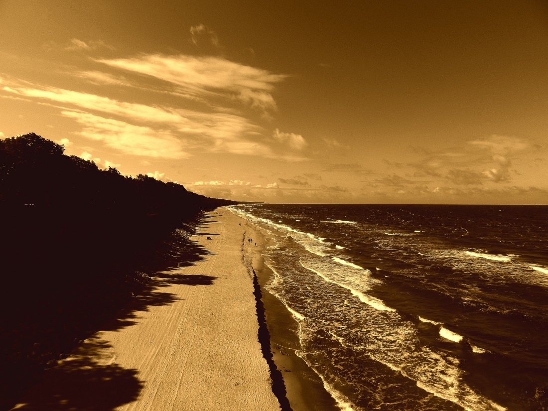 "Morza szum, ptaków śpiew, złota plaża pośród drzew.."