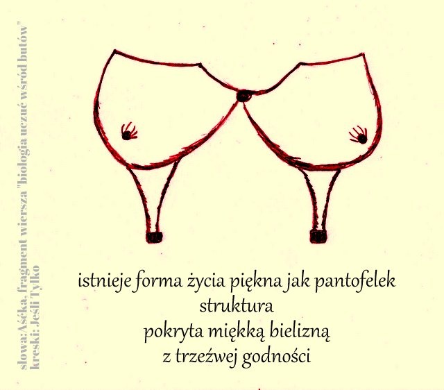 biologia uczuć wśród butów