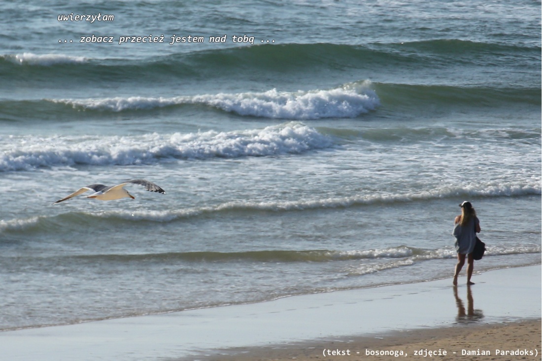 uwierzyłam