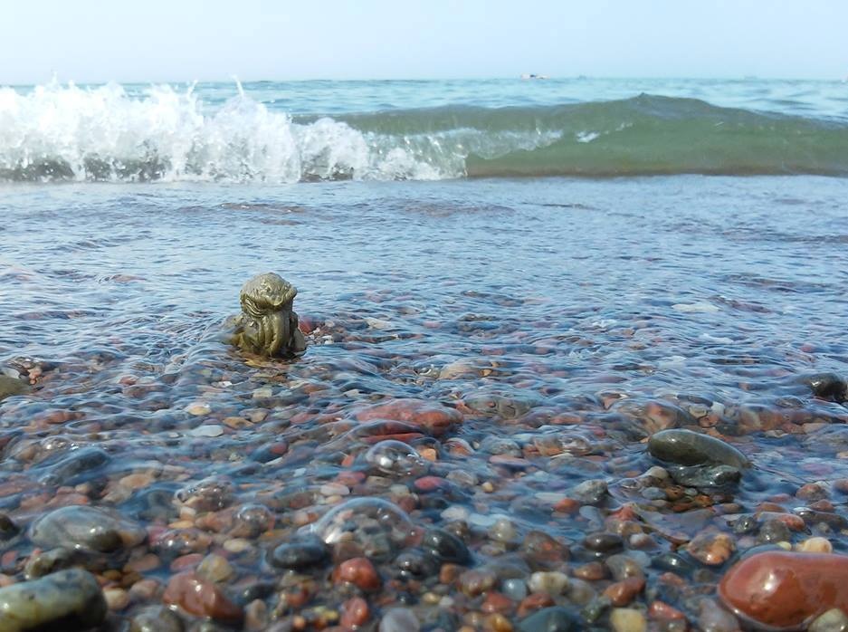 Cthulhu wychodzi z Domu!