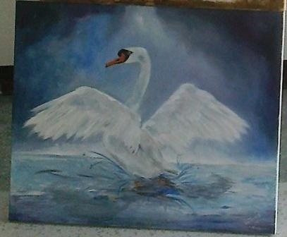 Ten sam plener(obecny) i Łabędź