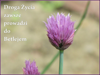 pogody ...