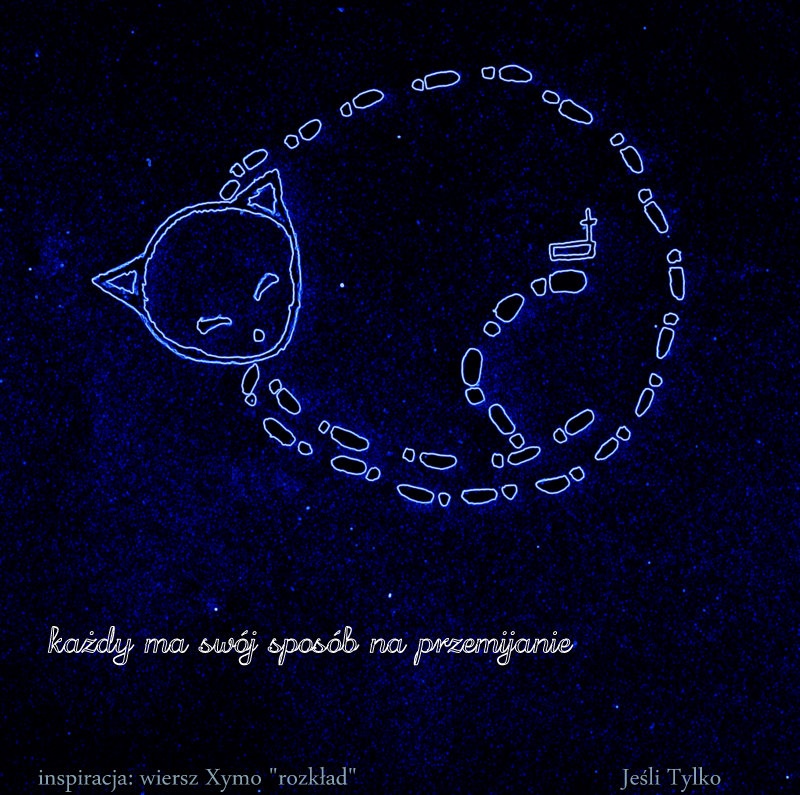 w radiu Szymborska a właściwie jej wiersz o..