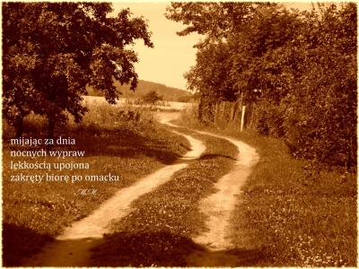 z dedykacją dla Śwatłoczułej