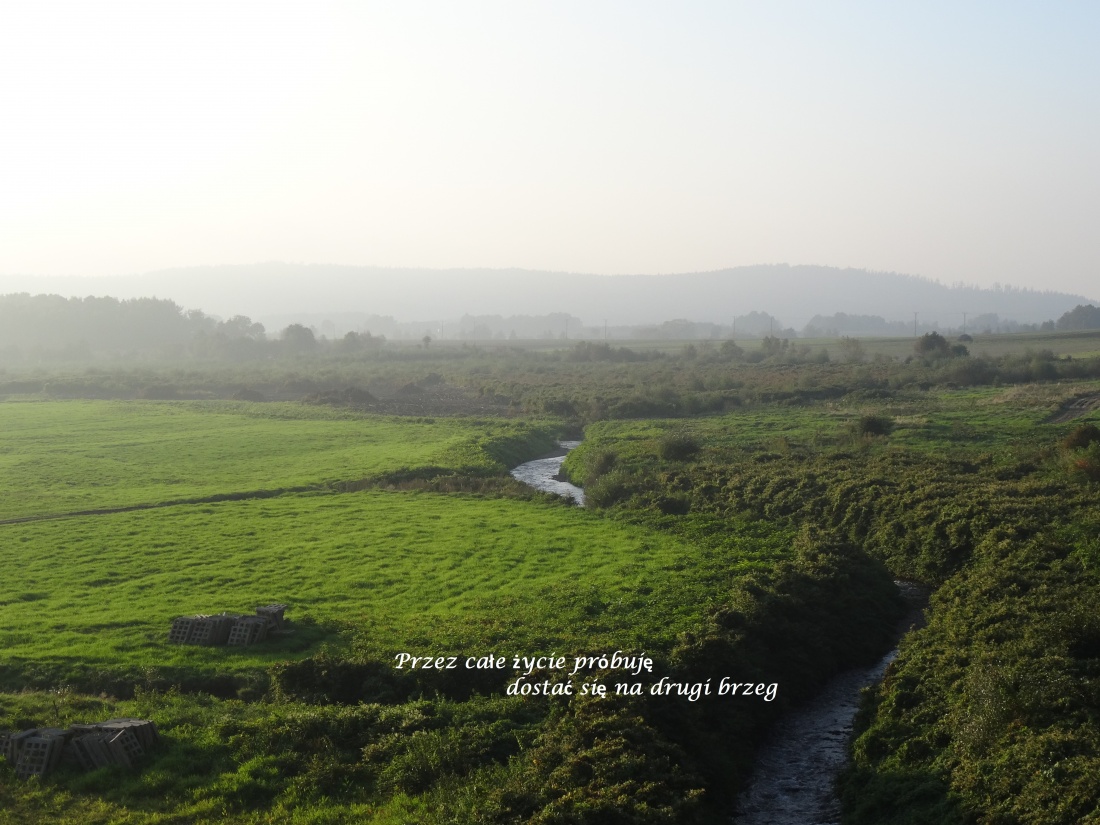 kroki w trawie miękną