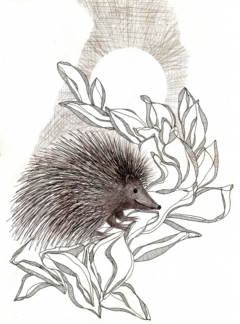 w księżycową noc wśród szelestu liści...