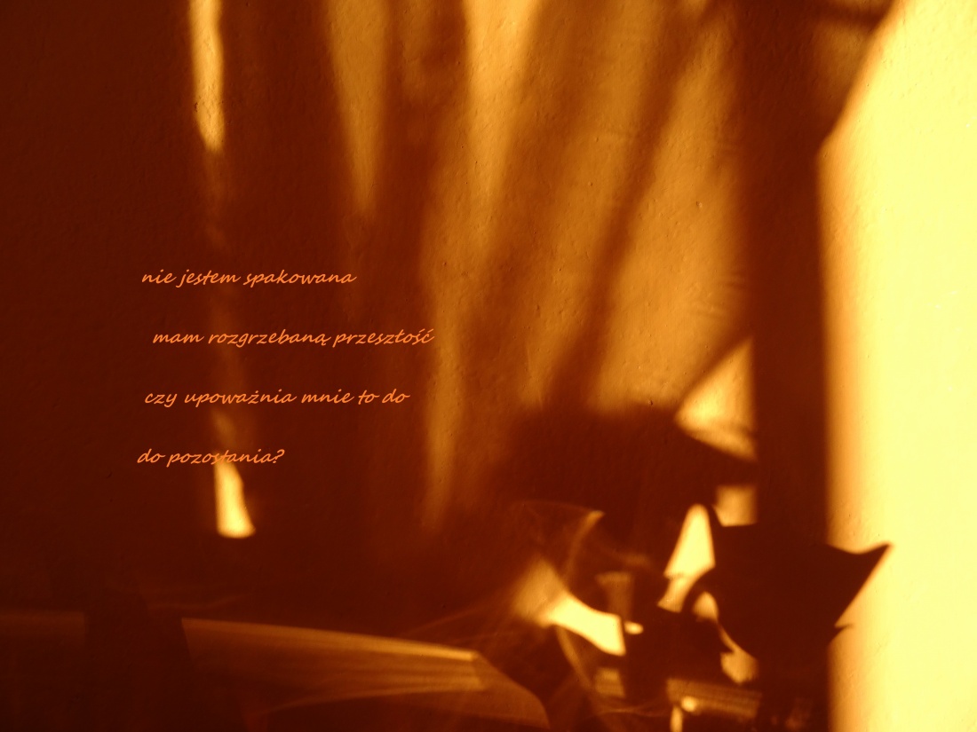 pomaluj mój świat cieniem