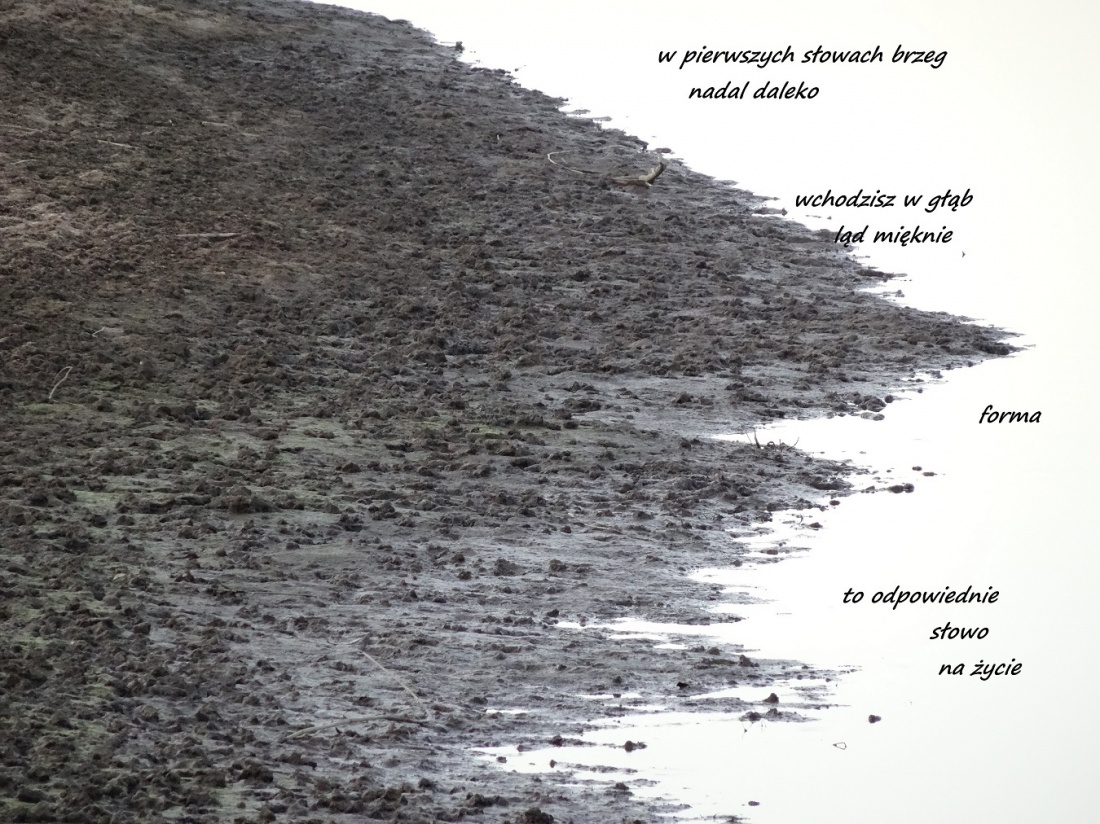 zwiedzając mój ląd