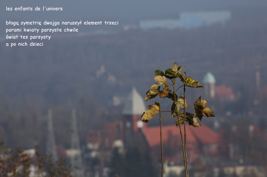 les enfants de l'univers - dzieci wszechświata