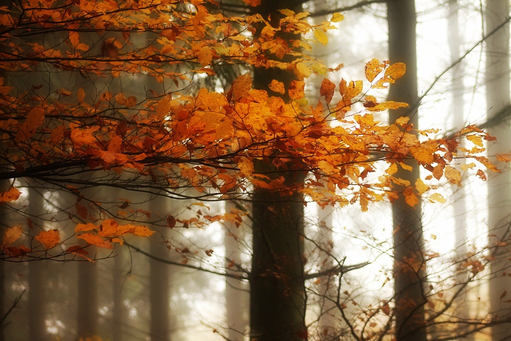 prawie o poranku....