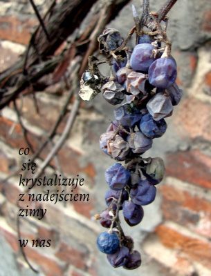 starość idzie