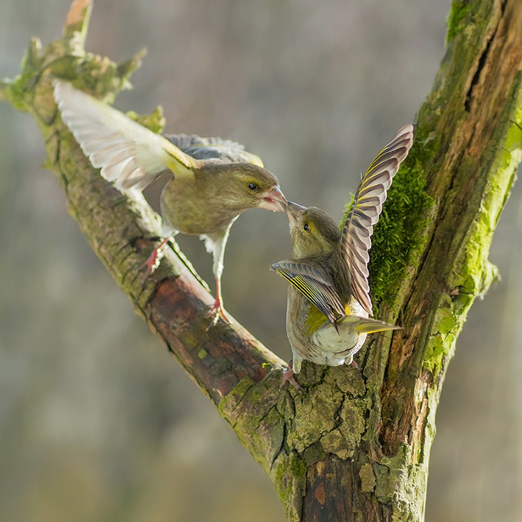 rozmowy kontrolowane