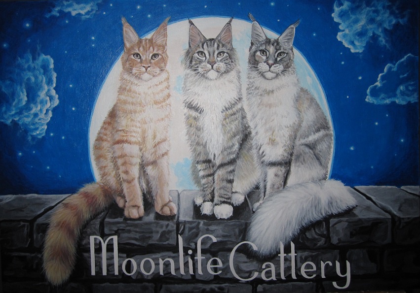 Moonlife Cattery