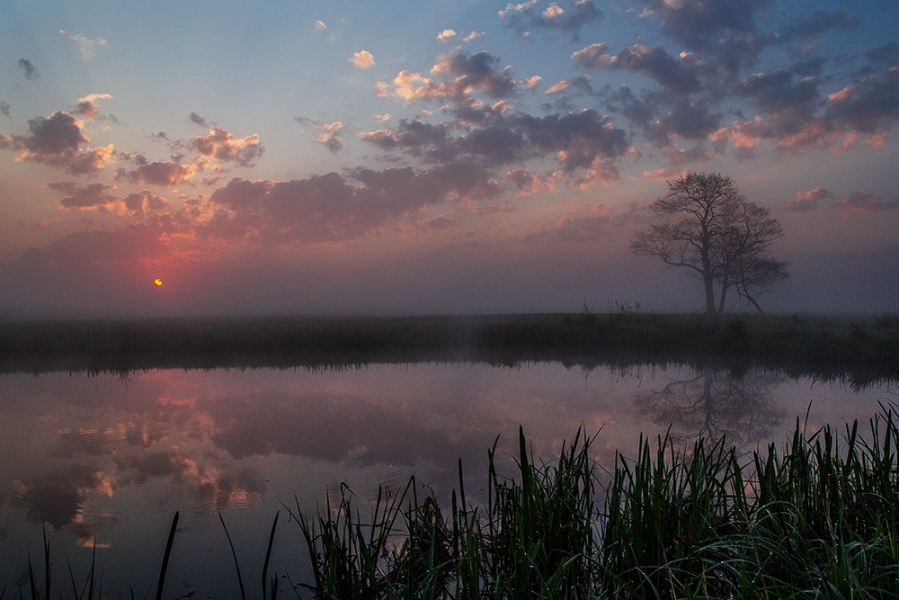 dzisiaj rano 02 05 2015 godz. 5/30