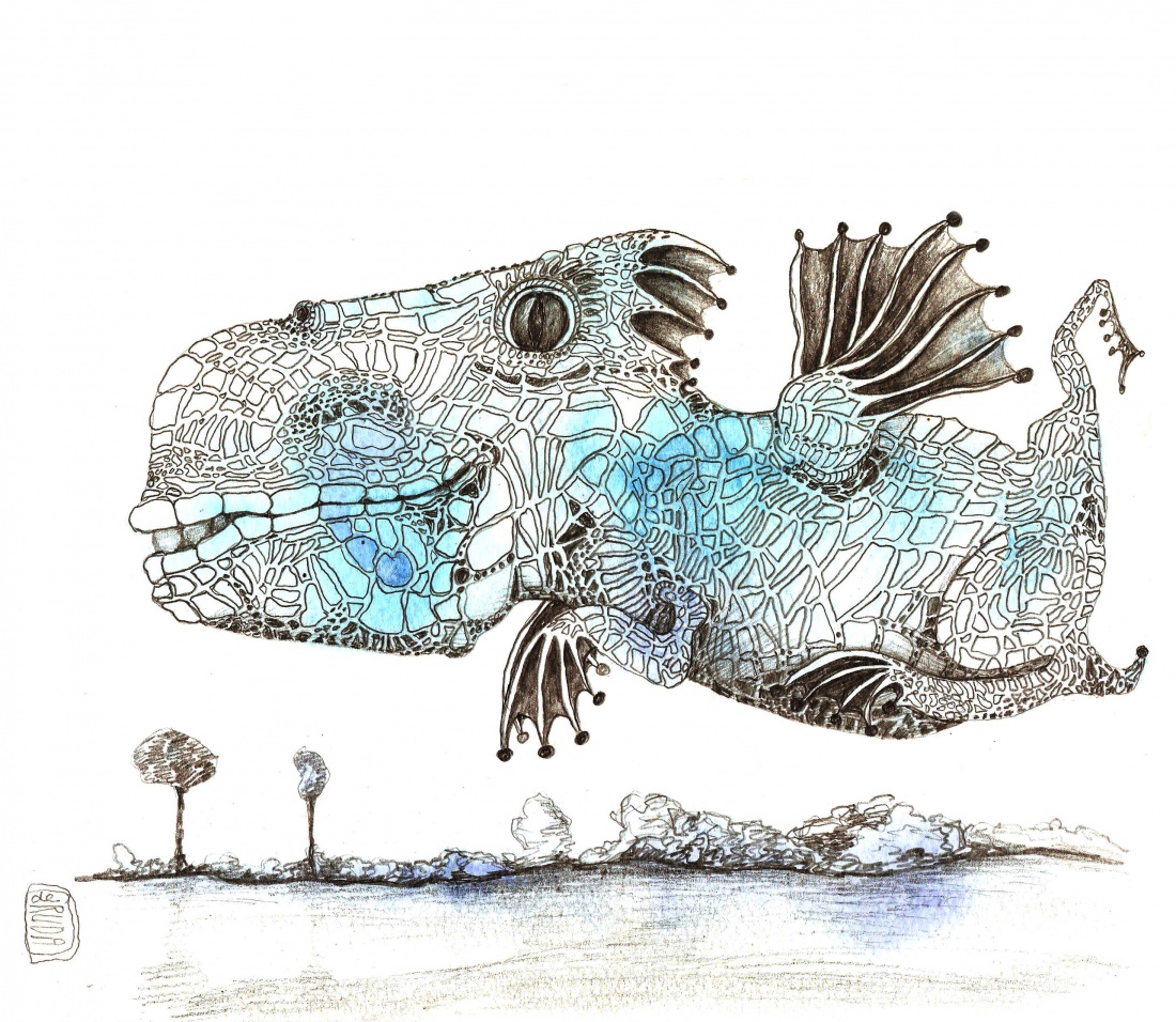 Smok - i co się dziwisz