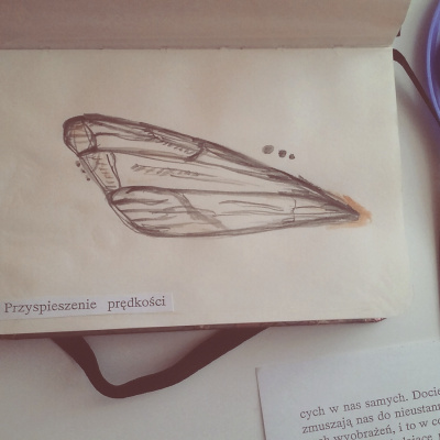 przyspieszenie prędkości.
