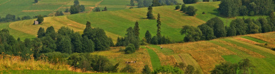 a to Polska właśnie