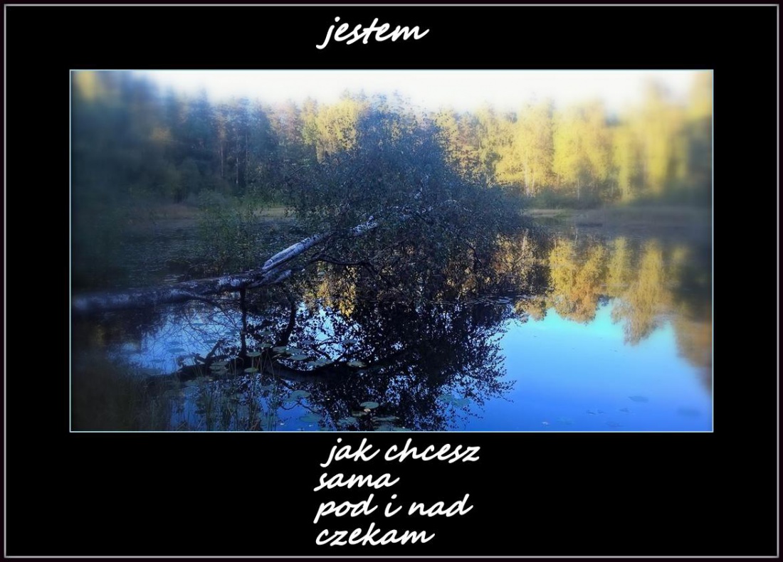 wyobraź sobie że...