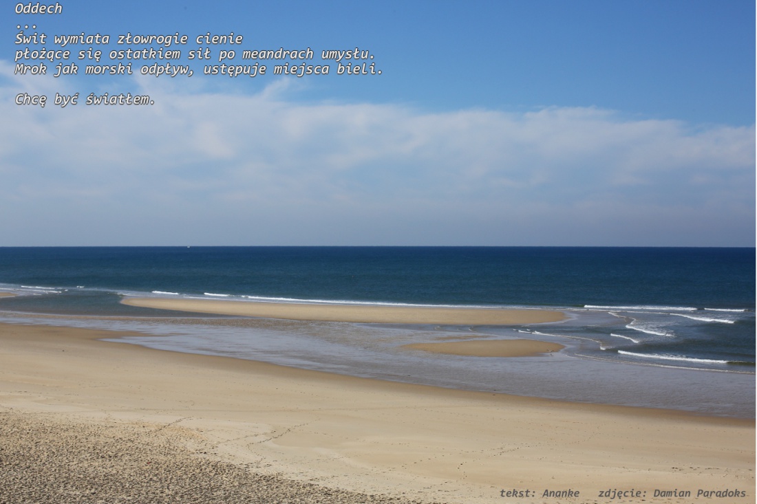 Respiration - Oddech