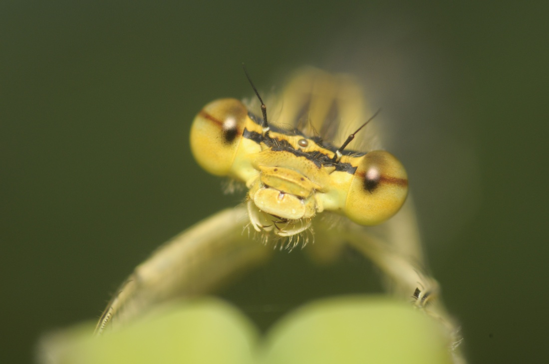 Ty też się uśmiechnij :)