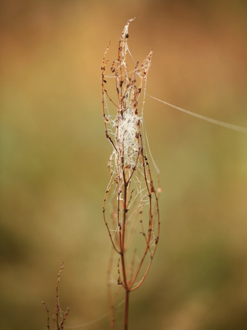 połączenie nie może być zrealizowane...