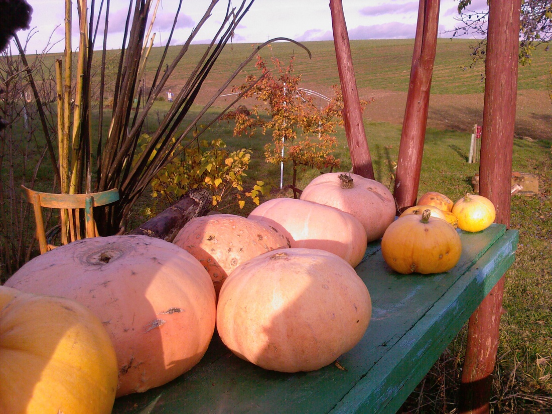 Moja rzeczywistość